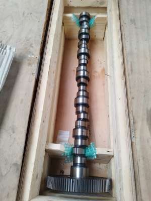 Arbre à cames - Moteur Deutz BF6M1013 EC